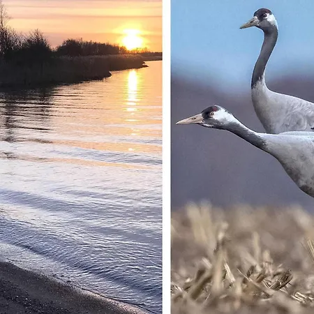 Ferienhaus Pruchten Дом отдыха *