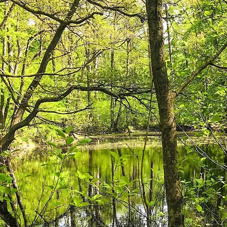 Дом отдыха Ferienhaus Pruchten Pruchten